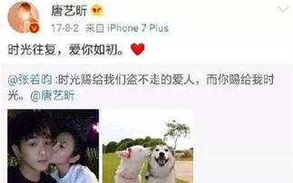 娱乐圈吃瓜双人解说文案,揭秘明星背后的故事与真相  第3张
